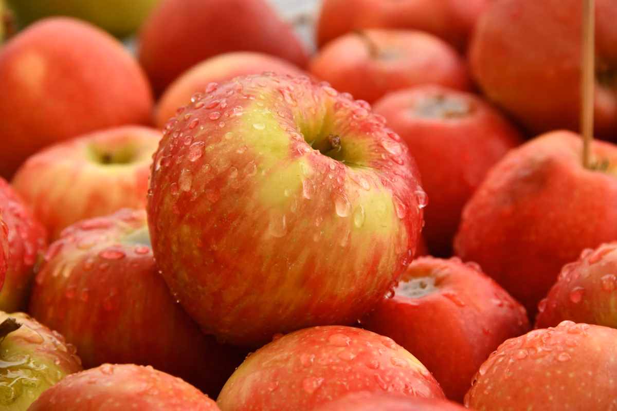 Apples