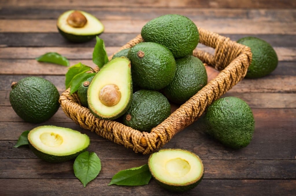 Avocado